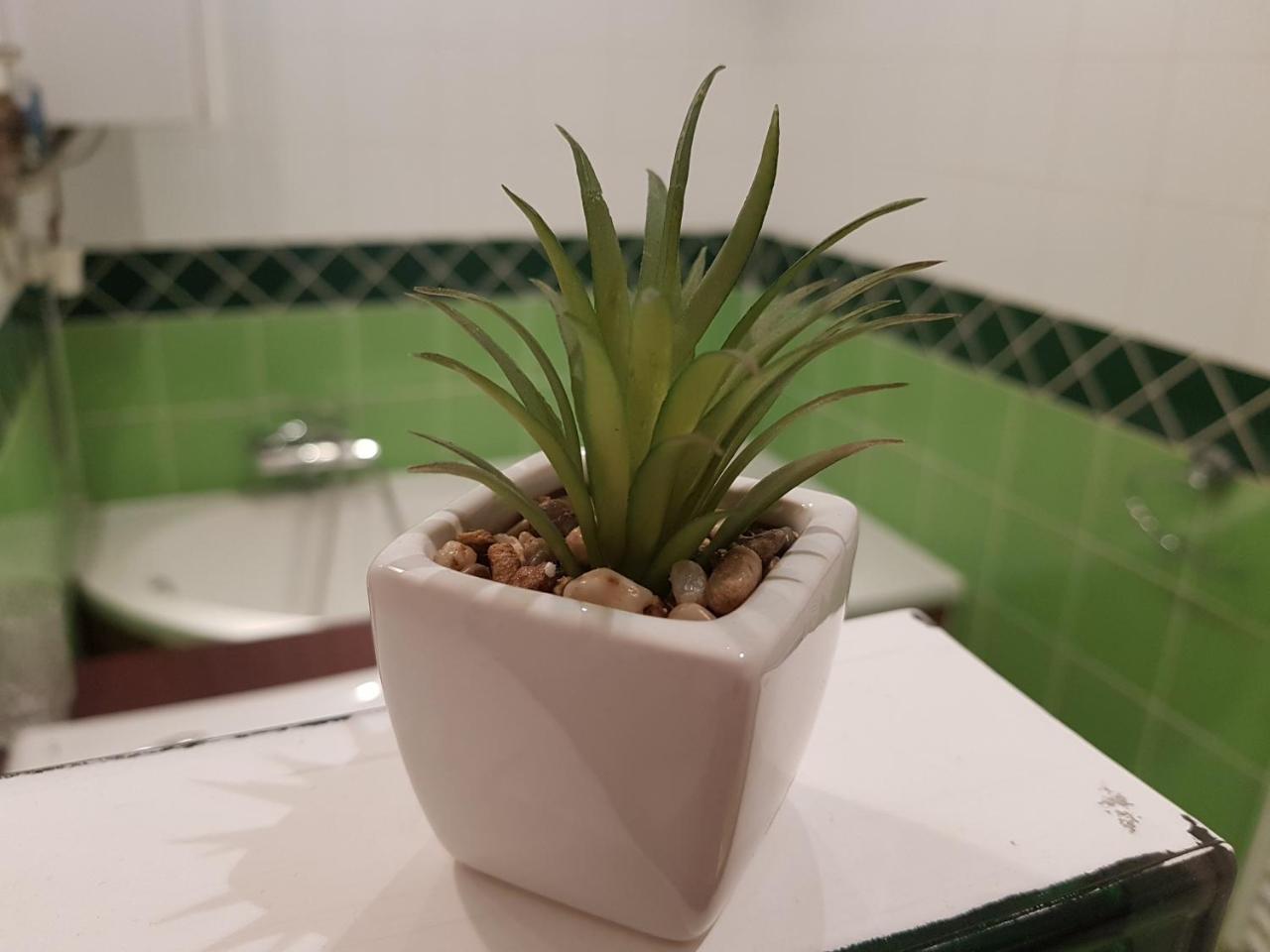 Deak Apartman 索普隆 外观 照片